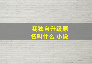 我独自升级原名叫什么 小说